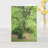 Het grote Groene Wenskaart van de Boom Kaart (Gele Bloem)