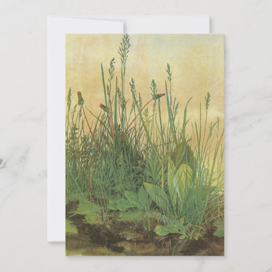 Het grote (Grote) stuk Turf van Albrecht Durer (Voorkant)