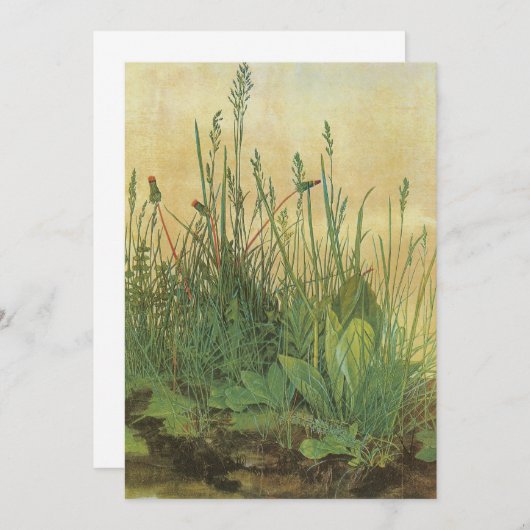 Het grote (Grote) stuk Turf van Albrecht Durer (Voorkant / Achterkant)