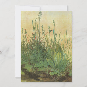 Het grote (Grote) stuk Turf van Albrecht Durer