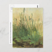 Het grote (Grote) stuk Turf van Albrecht Durer Briefkaart (Voorkant / Achterkant)