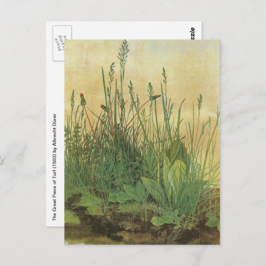 Het grote (Grote) stuk Turf van Albrecht Durer Briefkaart (Voorkant / Achterkant)