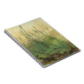 Het grote (Grote) stuk Turf van Albrecht Durer Notitieboek (Rechterzijde)