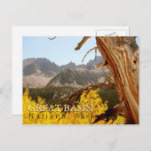 Het grote Nationale Park van het Bassin Briefkaart (Voorkant / Achterkant)