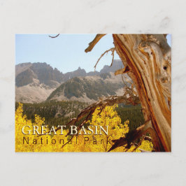 Het grote Nationale Park van het Bassin Briefkaart