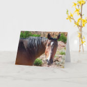Het grote Paard van het Kwart van de Baai Kaart (Gele Bloem)