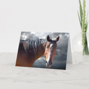 Het grote Paard van het Kwart van de Baai Kaart