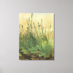 Het Grote Stuk Gras door Albrecht Dürer Canvas Afdruk