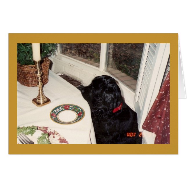 het grote stuk kip (Voorkant Horizontaal)