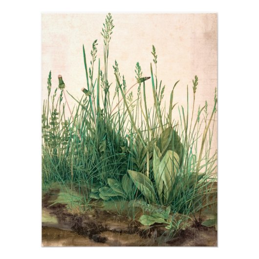 Het Grote Stuk Turf van Albrecht Durer Foto Afdruk (Voorkant)