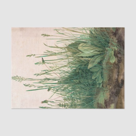 Het Grote Stuk Turf van Albrecht Durer Tissuepapier (Voorkant)