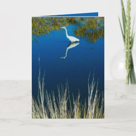 Het grote Wenskaart van de Aigrette #2 Kaart