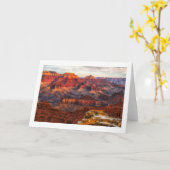 Het grote Wenskaart van de Canion Kaart (Gele Bloem)