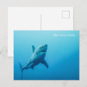 Het grote witte Briefkaart (Voorkant / Achterkant)