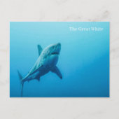 Het grote witte Briefkaart (Voorkant)