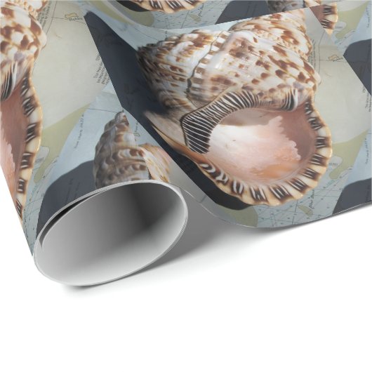 Het grote Zee Shell die Papier verpakt (Rol Hoek)