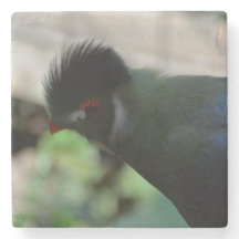 HET GUINEE TURACO-MARBLE-ONDERZETTER