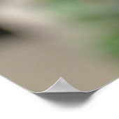 HET GUINEE TURACO-POSTER POSTER (Hoek)