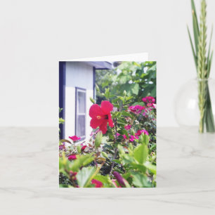 Het Hallo van de hibiscus Kaart