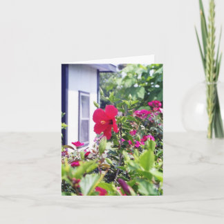 Het Hallo van de hibiscus Kaart