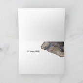 Het hallo van de schildpad! kaart (Binnen)