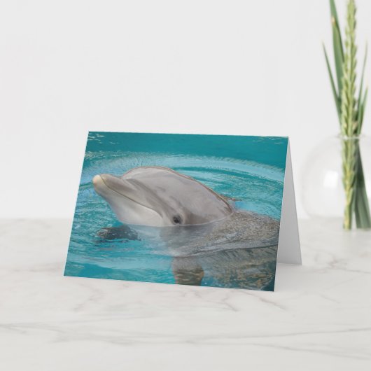 Het Hallo van de Vriend van de dolfijn Kaart (Voorkant)