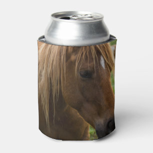 Het Hallo van het paard Blikjeskoeler
