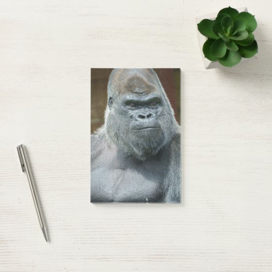 Het handbediende Silverback Post-it® Notes (Kantoor)