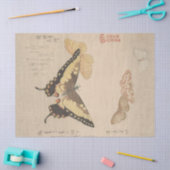 Het handboek voor het schilderen van buiken, Shunm Tissuepapier (Craft)