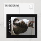 Het handige Briefkaart van de kat doorknippen (Voorkant / Achterkant)