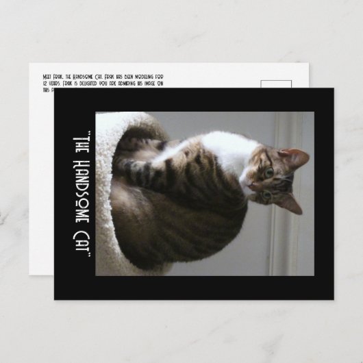 Het handige Briefkaart van de kat doorknippen (Voorkant / Achterkant)