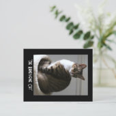 Het handige Briefkaart van de kat doorknippen (Staand voorkant)