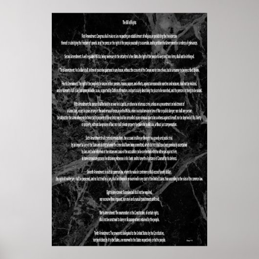 Het Handvest van de Rechten Poster (Voorkant)