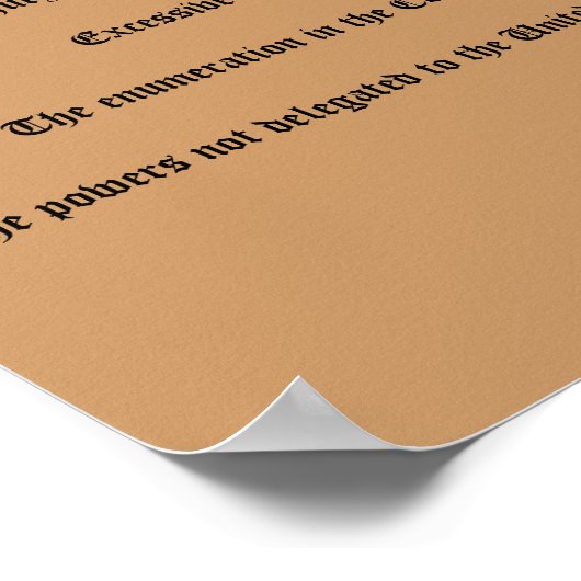 Het Handvest van de Rechten Poster (Hoek)