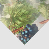 Het hangen Paarse Grafieken in Lijst Tissuepapier (Detail)