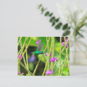 Het hangende Onduidelijke beeld van de Kolibrie Briefkaart (Staand voorkant)