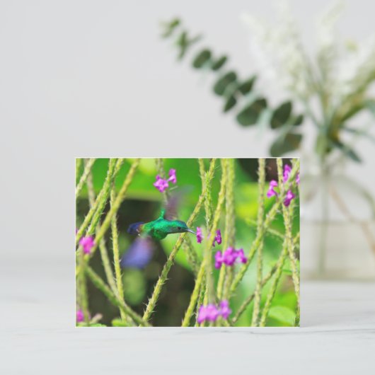 Het hangende Onduidelijke beeld van de Kolibrie Briefkaart (Staand voorkant)