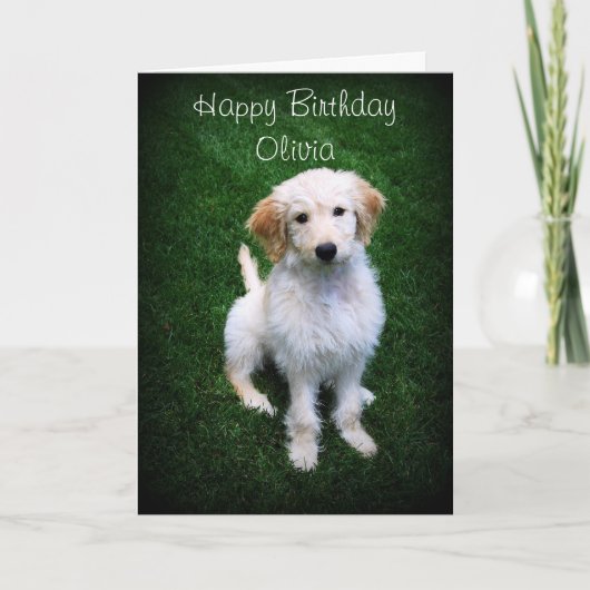Het Happy Birthday Golden Doodle Puppy van Olivia Kaart (Voorkant)