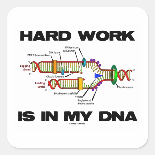 Het harde werk is in mijn DNA (DNA-replicatie) Vierkante Sticker (Voorkant)