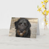 Het harige Zwarte Gezicht van de Hond Kaart (Gele Bloem)