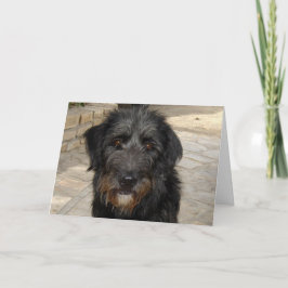 Het harige Zwarte Gezicht van de Hond Kaart