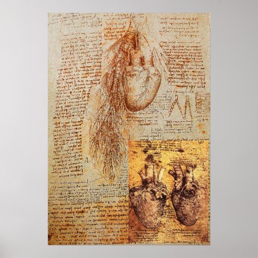 Het hart, de bronchiale slagaders en de bloedvaten poster (Voorkant)