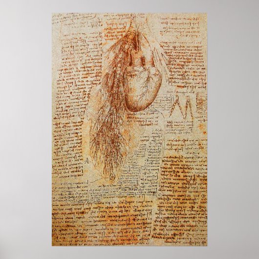 Het hart en de bronchiale arteriën poster (Voorkant)