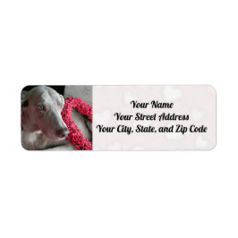 Het hart van de Weimaraner Dog voor je leggen Etiket