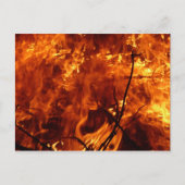 Het hart van het Briefkaart tegen brand (Voorkant)