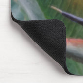 Het Hawaiiaanse Muismat van de Paradijsvogel (Hoek)