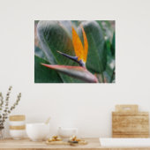 Het Hawaiiaanse Tropische Poster van de (Keuken)