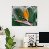 Het Hawaiiaanse Tropische Poster van de (Thuiskantoor)