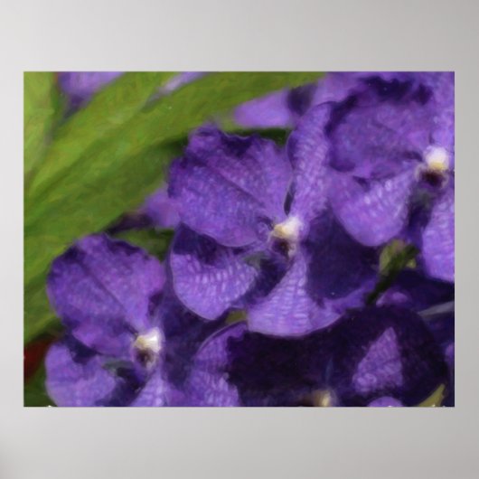 Het Hawaiiaanse Tropische Poster van de Orchidee (Voorkant)