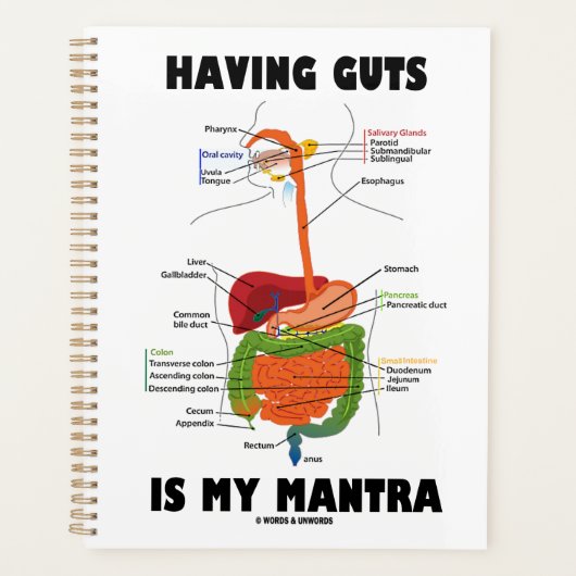 Het hebben van lef is mijn mantra spijsverteringss planner (Voorkant)